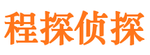 安定市私家侦探